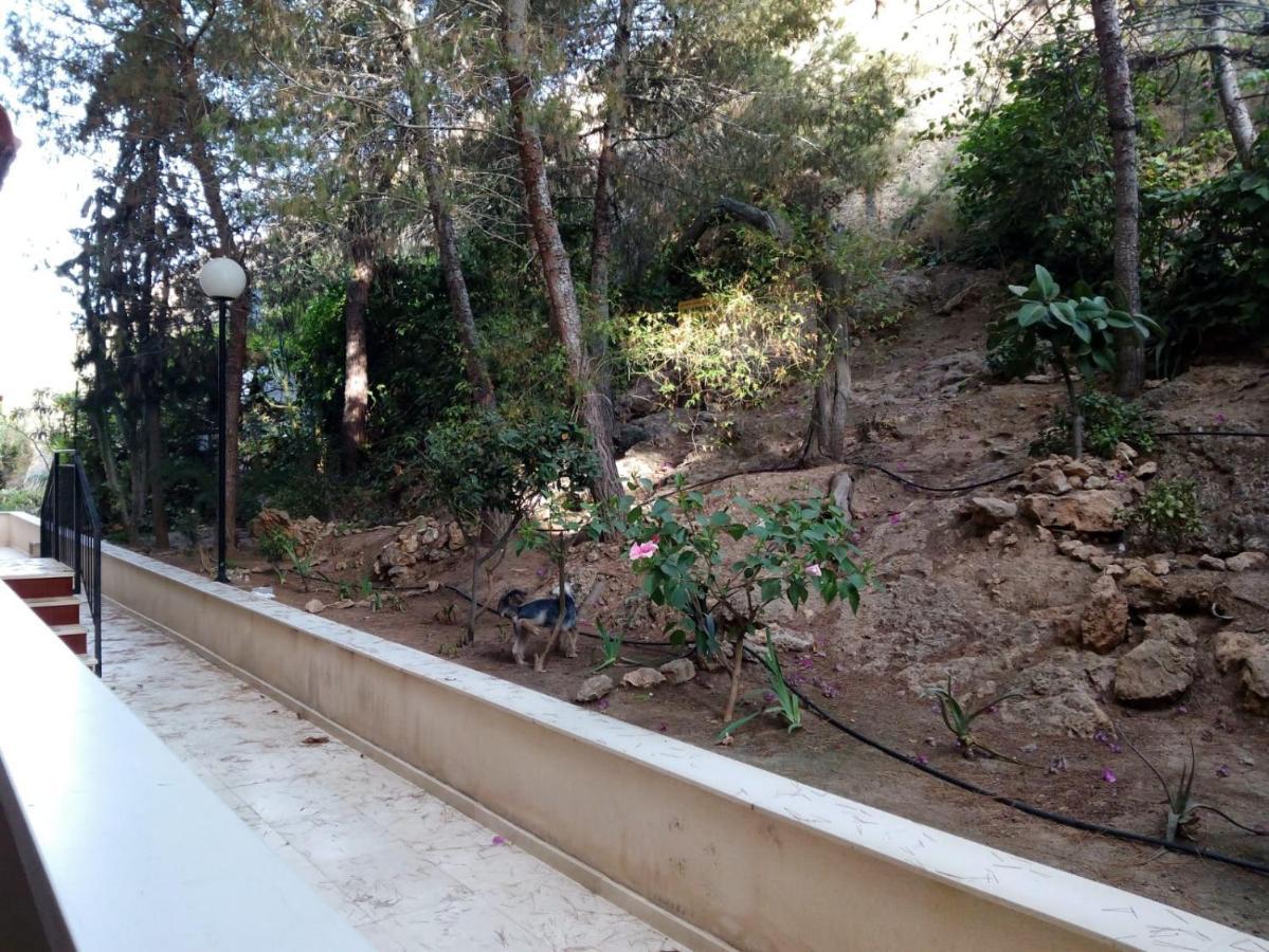 Mediterranean Beach Apartment 180º Sea & Island Views Santa Pola Exterior photo